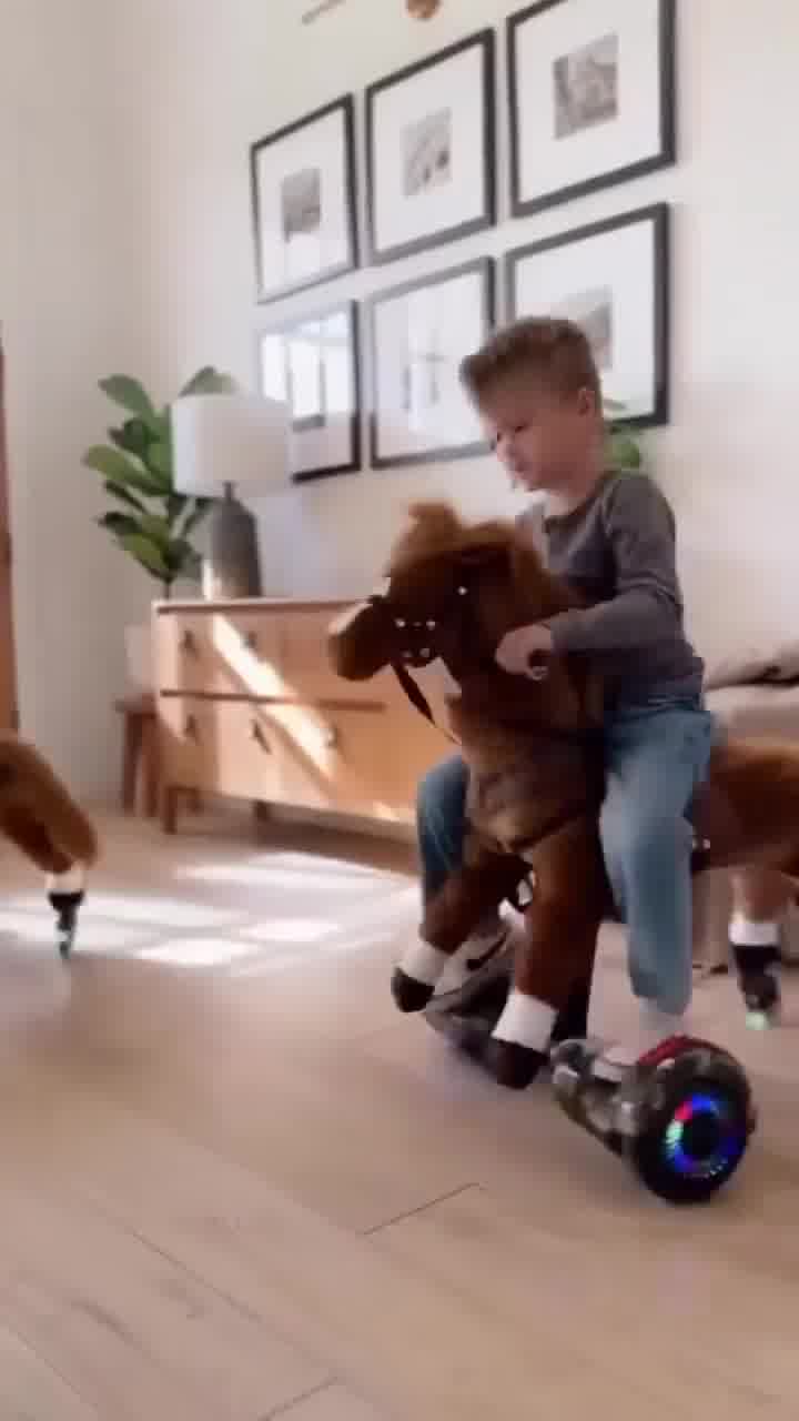 The World's Only Powered Rideable Pony